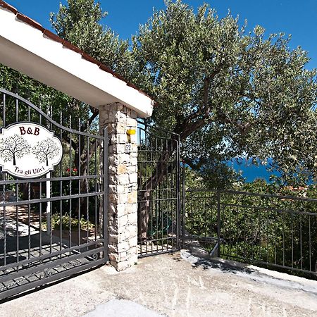 Tra Gli Ulivi Bed and Breakfast Pietra Ligure Εξωτερικό φωτογραφία