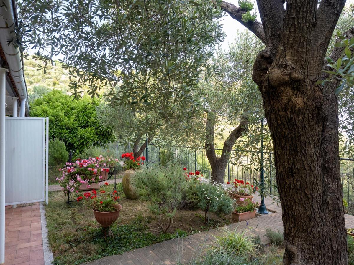 Tra Gli Ulivi Bed and Breakfast Pietra Ligure Εξωτερικό φωτογραφία