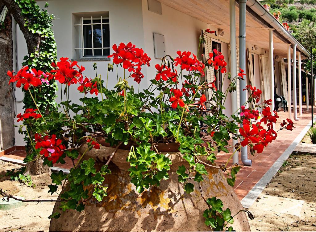 Tra Gli Ulivi Bed and Breakfast Pietra Ligure Εξωτερικό φωτογραφία